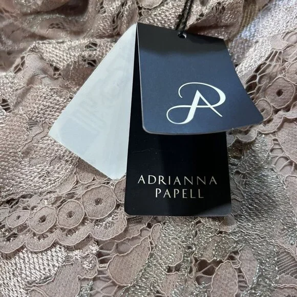 NWT Adrianna Papell Dusty Rose Embroidered Lace Popover Dress Size 2 NEW - Picture 10 of 15